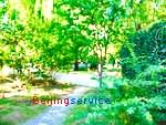Photo of Botanical Garden Beijing 1-9