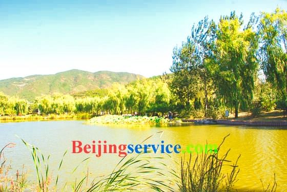Photo of Botanical Garden Beijing 9
