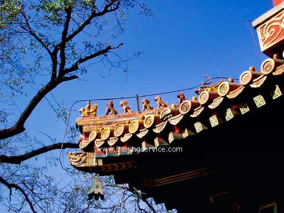 Photo of Lama Temple