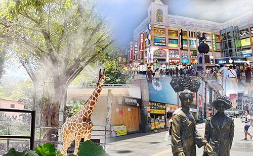 photo of Guangzhou One Day Tour to Provincial Museum Tianhe Park Guangzhou Zoo and Shangxiajiu Street