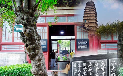 photo of Xian Private One Day Tour of Small Wild Goose Pagoda, Stele Forest, Great Mosque and Shuyuanmen Street